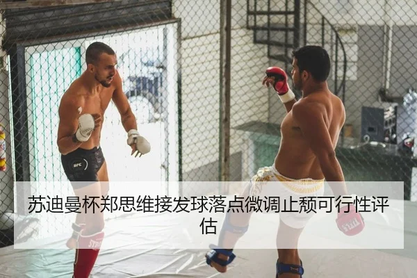 su-di-man-bei-zheng-si-wei-jie-fa-qiu-luo-dian-wei-diao-zhi-tui-ke-xing-xing-ping-gu-2-955.jpg